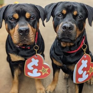 Dog Costume - Beanie Baby